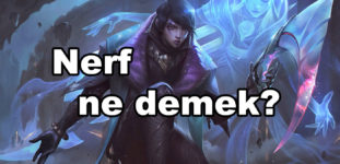 Nerf ne demek?